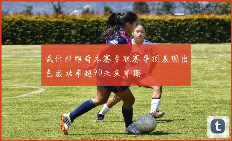 武什科维奇本赛季联赛争顶表现出色成功率超90未来可期