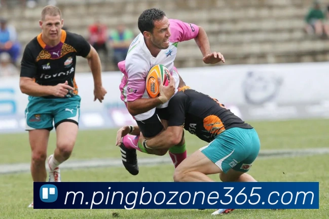 平博PINGBOAPP 封面图